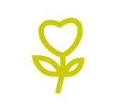 Des bus dernière génération Eco responsable normes EURO 6